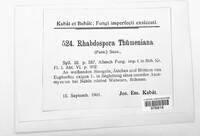 Rhabdospora thuemeniana image